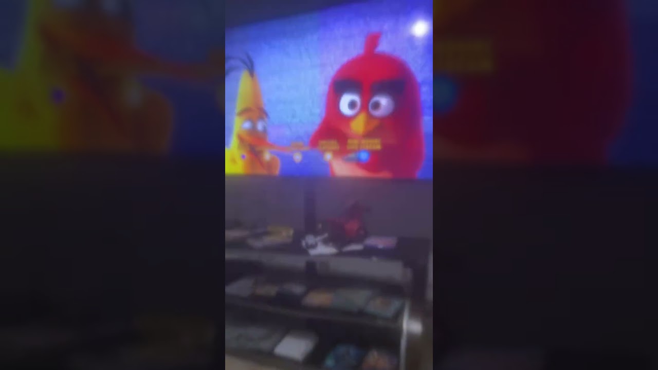 Opening to The Angry Birds Movie 2 2019 DVD