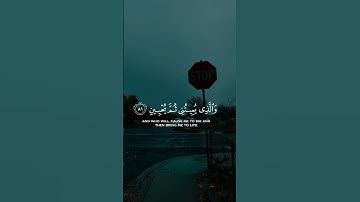 #قران_كريم #راحة_نفسية #تلاوة_هادئة #اكسبلور #quran #ارح_قلبك #لايك#اسلام_صبحي