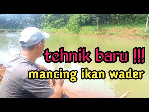 Mancing Ikan Wader Menggunakan Tehnik Seret Dan Umpan Colek Bersama