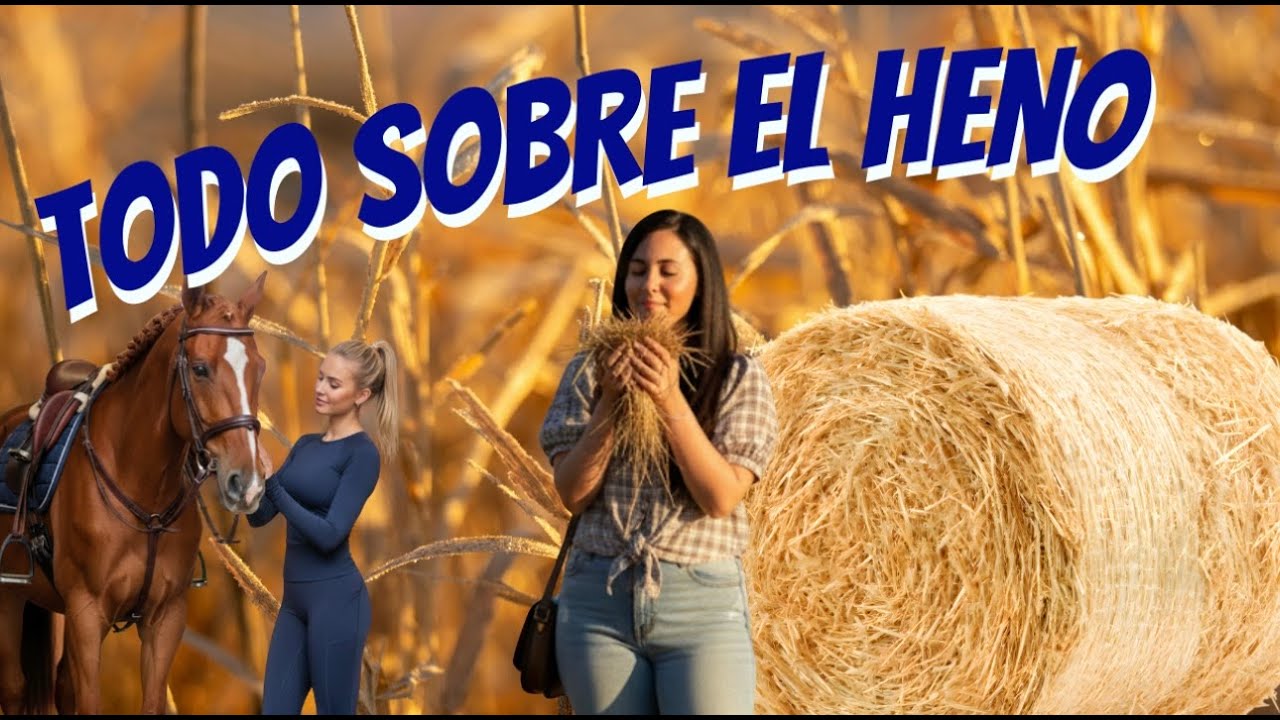 TODO sobre el HENO para el Caballo 🐴 Tipos, Calidad, Diferencias con la Paja y Errores