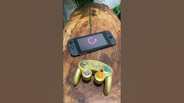 Nintendo GameCube Switch 😳