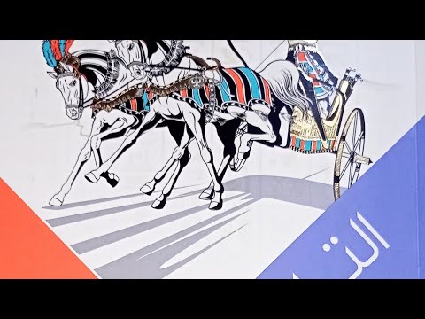 حل اسئلة درس الحياة الثقافية والفكرية تاريخ اولى ثانوي ترم اول 2025 ذاكرلى اون لاين مع مس صفاء يوسف 