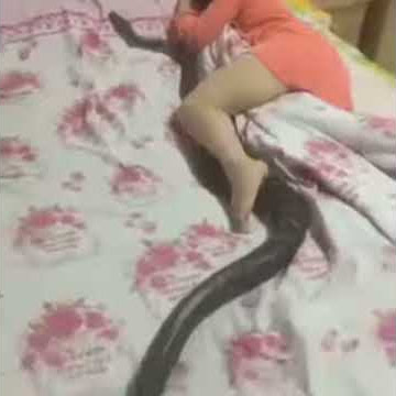 Wow Cantik Cantik Tidur Dengan Ular