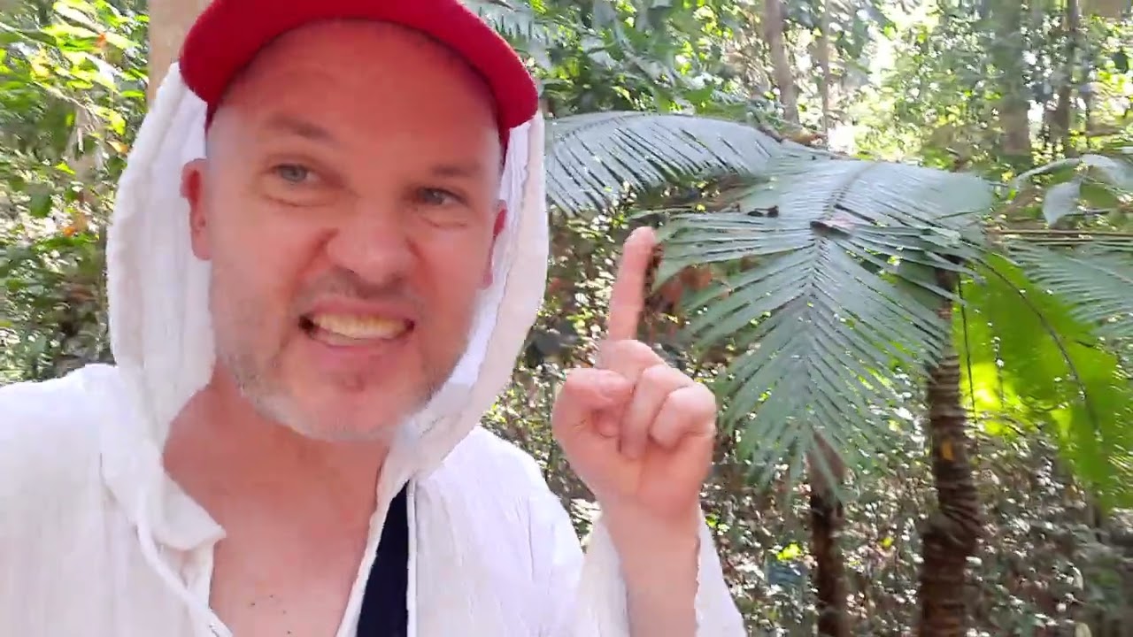 Как выглядит саговник? Экотропа Каттиена. Вьетнам с Алексеем Коткиным.