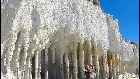 Mudfossil U part 8.. Giant hairs and sweat glands