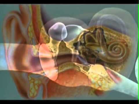 معجزة الحواس الخمس هارون يحيي 