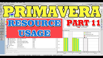 Primavera Part 11 | Resource Usage