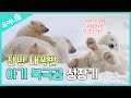 [육아니멀] 귀여워..! 가만히 있어도 귀여워...! 아기 북극곰의 성장기｜A process of baby polar bears growth