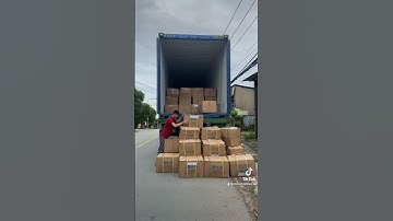 Rơm nhân tạo Vilata Việt Nam