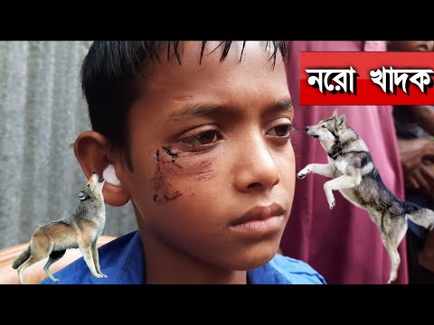 ভিডিও: মানুষ একটি পশু