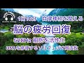 【528Hz・脳疲労回復】DNAを修復するソルフェジオ周波数と自律神経を整える。睡眠導入、ストレス緩和、疲労回復　＃脳の疲れを取る音楽＃自律神経を調整する音楽　＃ソルフェジオ周波数
