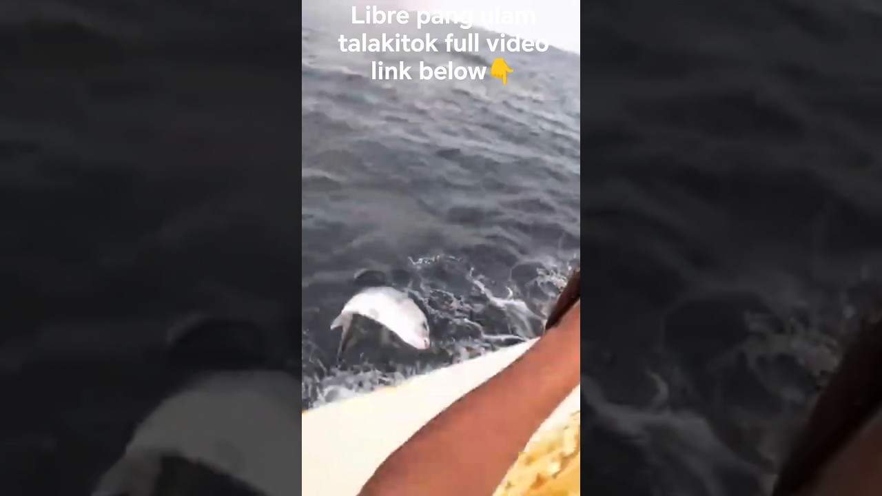 Free fish for a dish, talakitok 