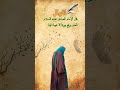 اقوال الامام الصادق ع 