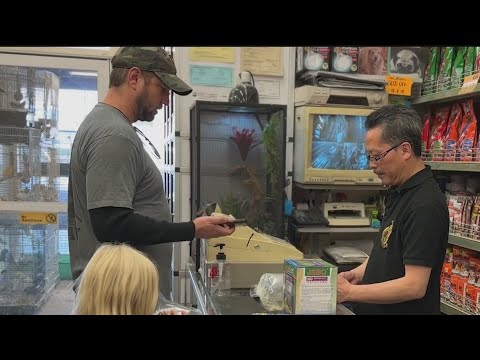 Update: San Francisco Pet Store That Was Being Given Away For Free Finds New Owners