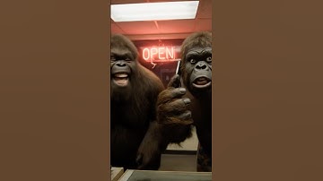 Robbed the place #ai #funny #shortvideos #vlog #monkey #vlogger #shortsviral #gorilla #shorts #viral