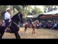 Bailando al caballo Atenco Edo de México.