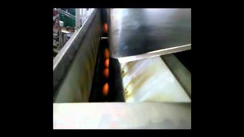 Μικροσυσκευασία Εσπεριδοειδών - Citrus Packaging in 1-3 Kg Nets_Novatec