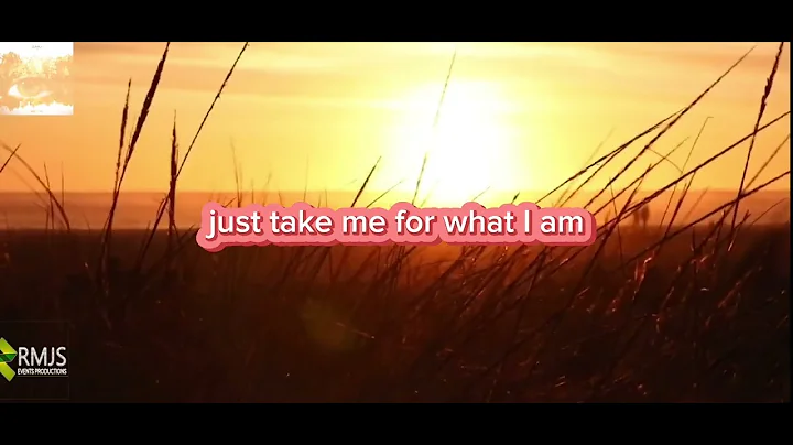 What I Am ( Lyric Video ) by Zayn