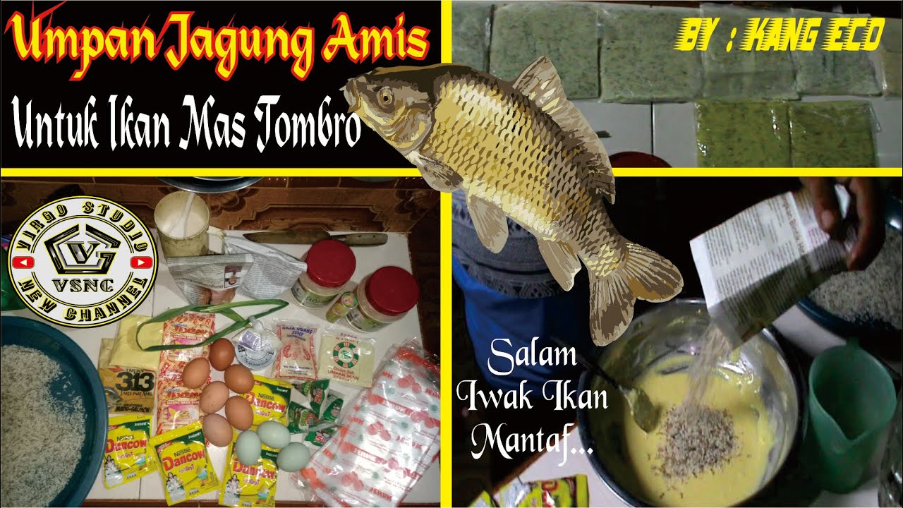 Aneka Resep Umpan Ikan Mas Tombro - Part #1 | Jagung Amis