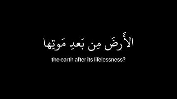 كروما (ولئن سألتهم من نزل من السماء ماء فأحيا به) سورة العنكبوت آية 63 القارئ نعمه الحسان
