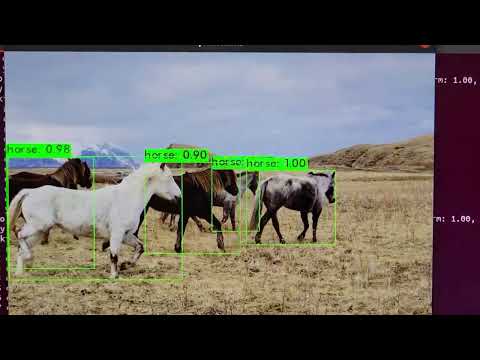 Darknet image recognition test