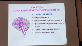 картинка: Часть1•Варолиев мост•Физиология среднего мозга•Физиология промежуточного мозга•Ретикулярная формация
