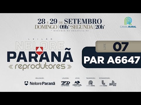 LOTE   7 PAR A6647