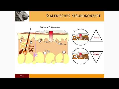 Grundlagen der Topischen Therapie/Johannes Wohlrab