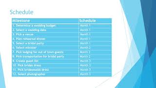 Wedding Project Plan