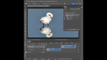 How to copy an object in a video in Photoshop