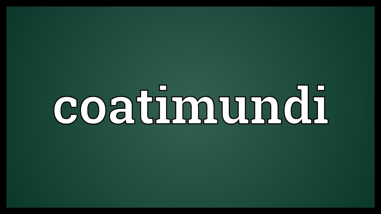Coatimundi Meaning - YouTube