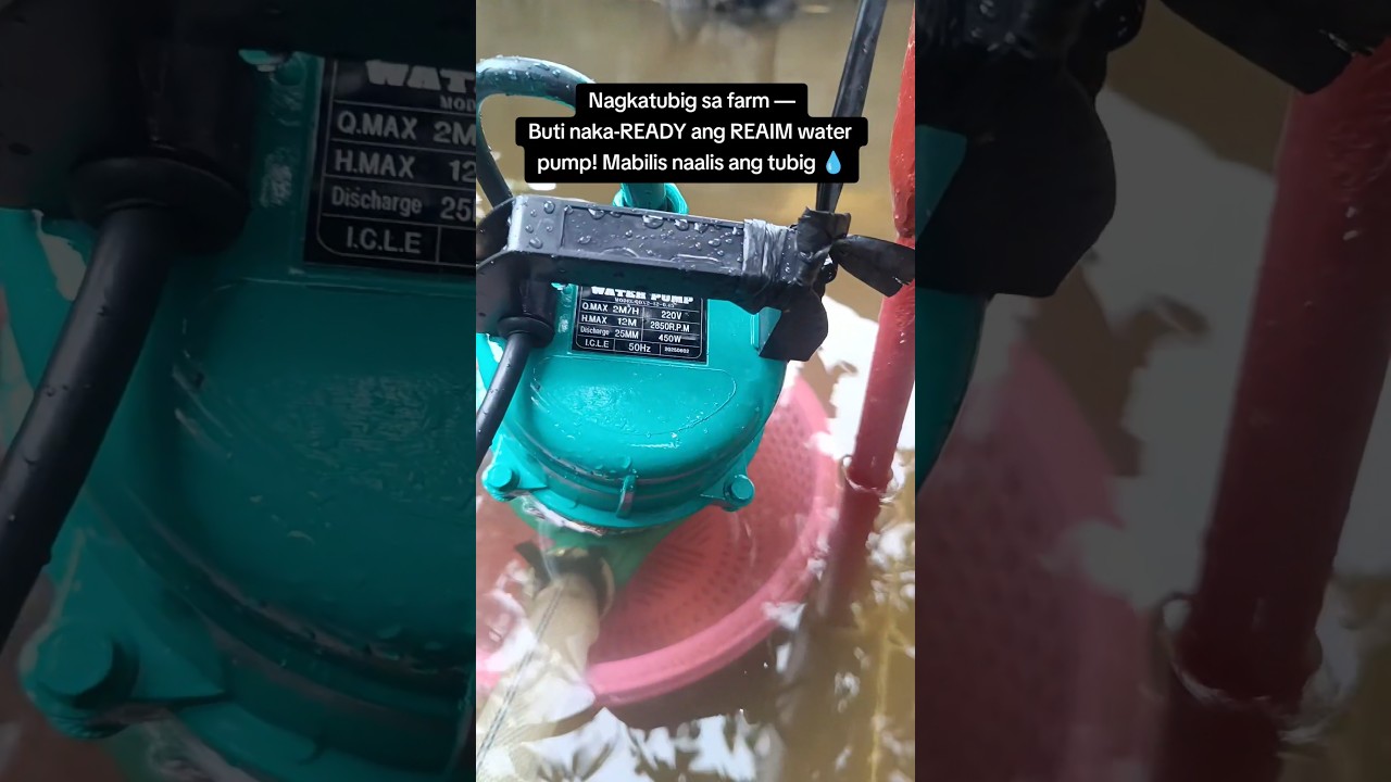 REAIM Submersible Water Pump Heavy Duty 1HP/2HP  