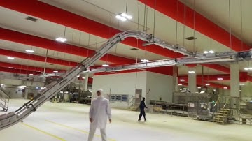 ULTIMATE PE MOTION, Ice Cream Collation & Sleeve Wrapping