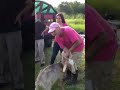 Goat Girls good at removing unwanted vegetation