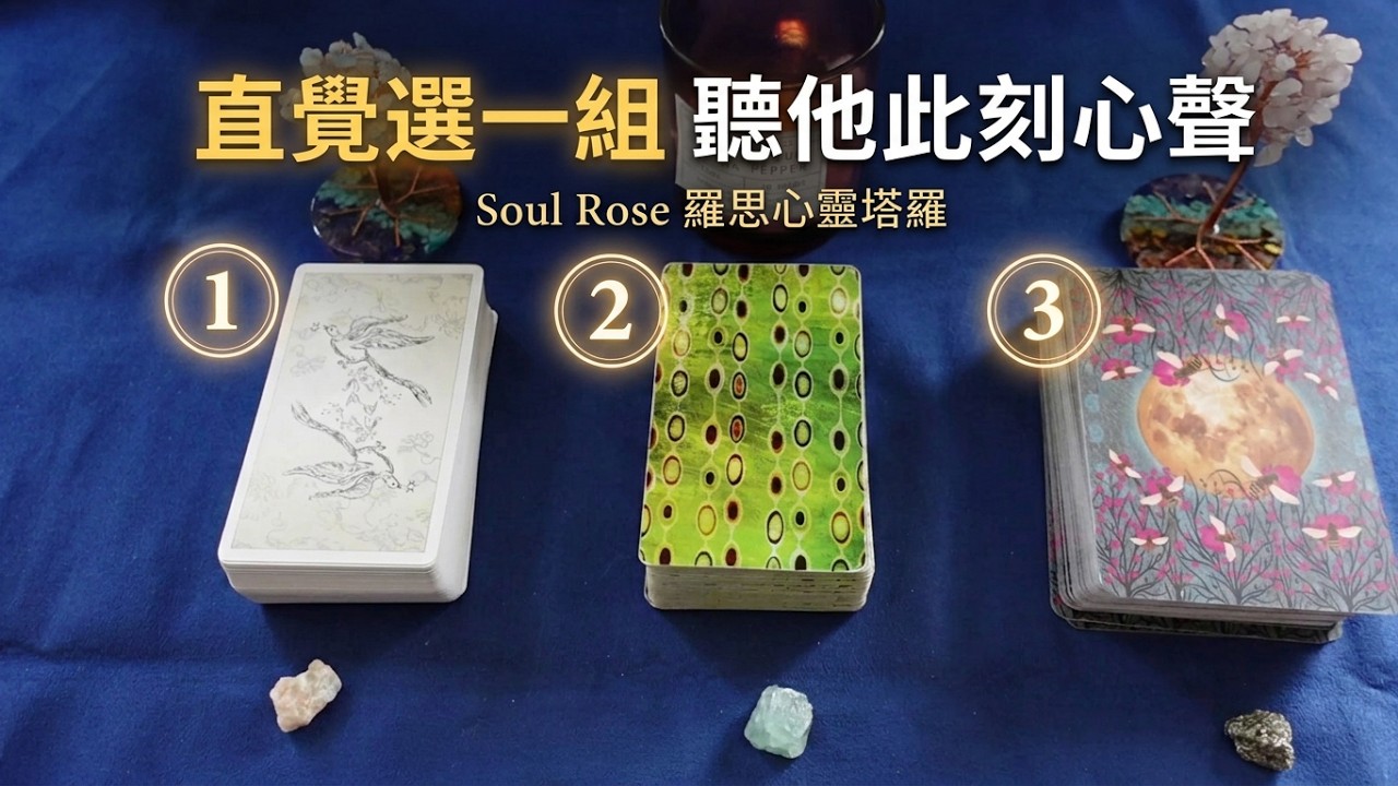 💞🌹 Soul Rose 塔羅占卜: 他/她今天此時此刻內心深處想對你說的話🌹💞 (不限時間)