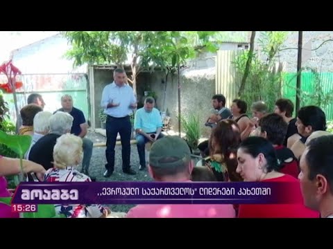 „ევროპული საქართველოს“ ლიდერები კახეთში