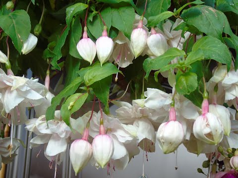 Тихо!!! Посторонним вход воспрещен!!!)))