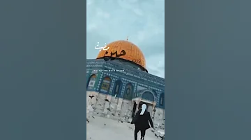 و رضيت حين مضيت عني 