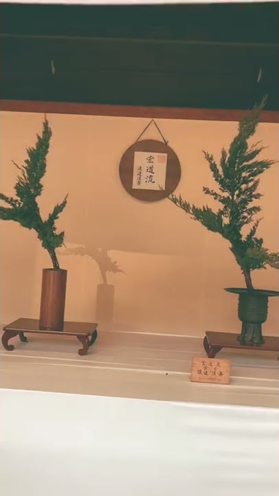 Solo Travel Tokyo [Kado is a traditional Japanese art originating] #kado #flowerarrangement