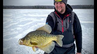 Early Ice Panfish Tips & Strategies