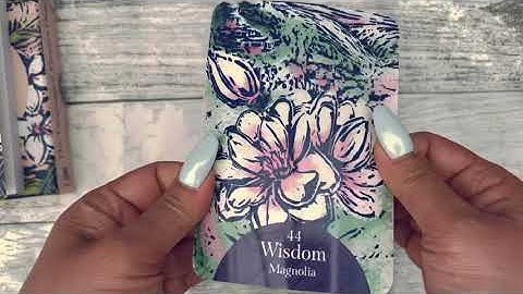 Wednesday Walkthrough | Language of Flowers Oracle