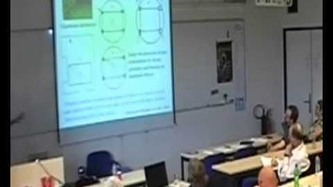 Elizabeth Spelke, "Core Knowledge and language" Nias/Lorentz Workshop on Core Knowledge