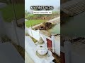 #shorts, #youtubeshorts, #trending, #viral, and  #SEO #DigitalMarketing #ContentCreation