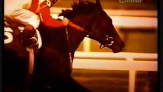 Ruffian Tribute - For the best race horse ever!