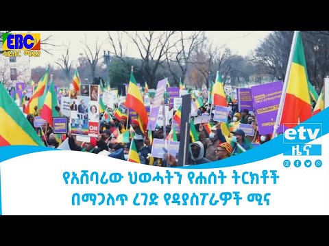 የአሸባሪው ህወሓትን የሐሰት ትርክቶች በማጋለጥ ረገድ የዳያስፖራዎች ሚና   Etv   Ethiopia   News