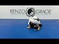 Gregorian from Mount Setup to North South Matrix by Greg Hamilton BJJ - The New UnderHook Feed 🔥