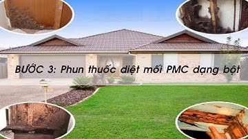 Quy trình diệt mối bằng PMC và hộp nhử mối