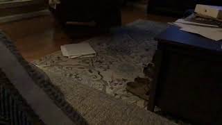 Celebrity Tracy Johns Live Stream Profile