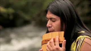 leo rojas the sound of silence