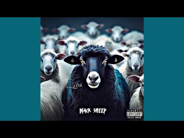 洋楽 Black Sheep From The Black Pool Of Geniu From The Black Pool Of Genius | Black Sheep Dres